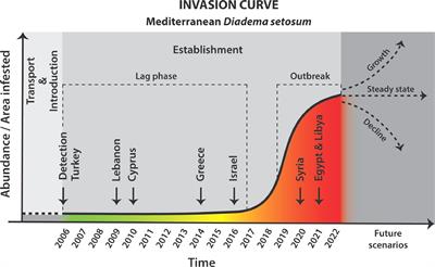 Gaining a (tube) foothold – trends and status following two decades of the long-spined echinoid Diadema setosum (Leske, 1778) invasion to the Mediterranean Sea